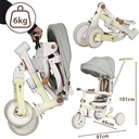 Tricycle Multifonctions Evol Olmitos